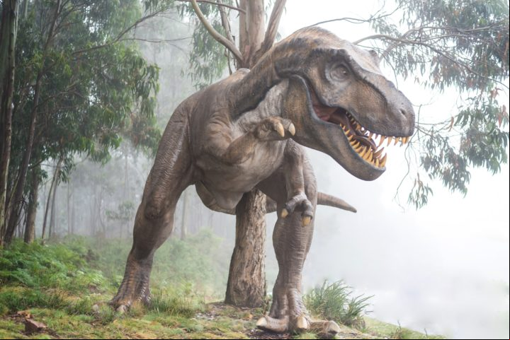 Uma pesquisa recente da revista Science Advances sugere que os dinossauros não foram extintos exclusivamente devido ao impacto de um meteorito.